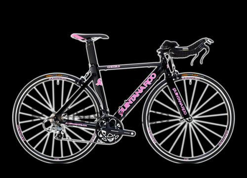 Quintana Roo Chicqilo technische daten